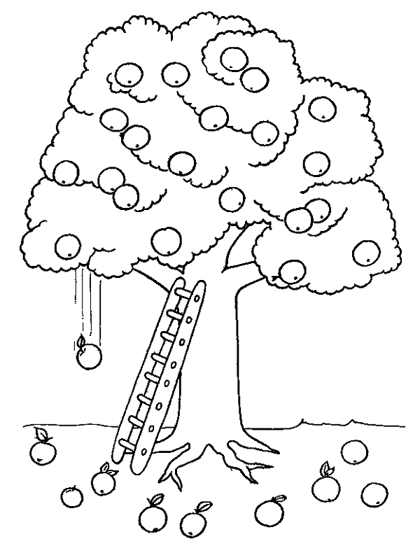 Malvorlage: Apfelbaum (Natur) #163771 - Kostenlose Malvorlagen zum Ausdrucken