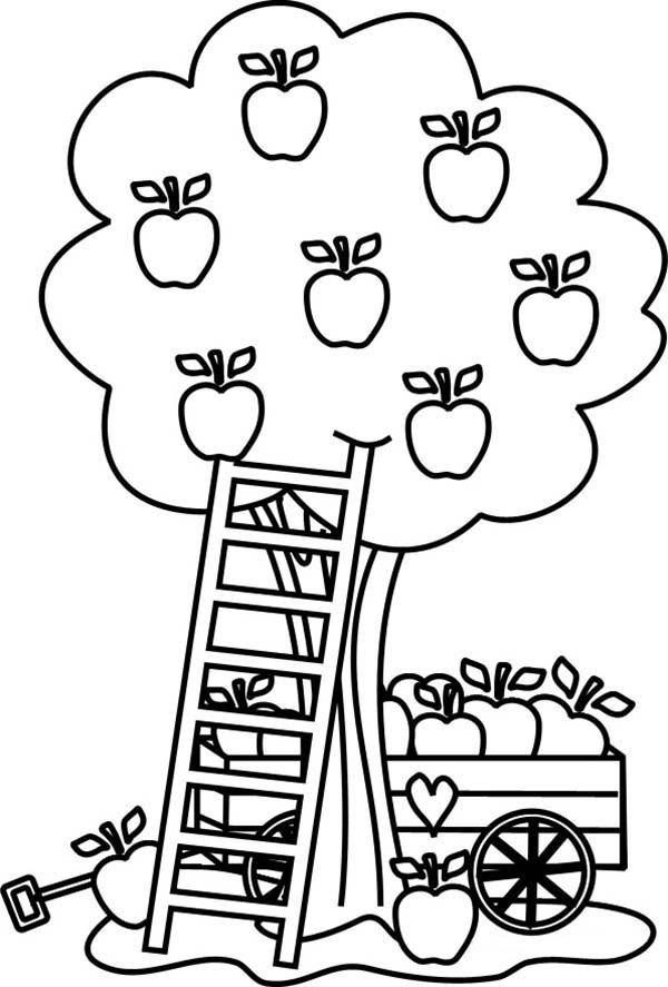 Malvorlage: Apfelbaum (Natur) #163775 - Kostenlose Malvorlagen zum Ausdrucken