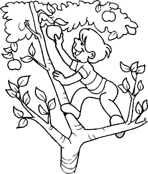 Malvorlage: Apfelbaum (Natur) #163793 - Kostenlose Malvorlagen zum Ausdrucken