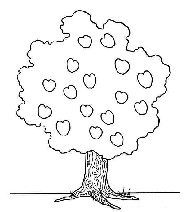 Malvorlage: Apfelbaum (Natur) #163805 - Kostenlose Malvorlagen zum Ausdrucken