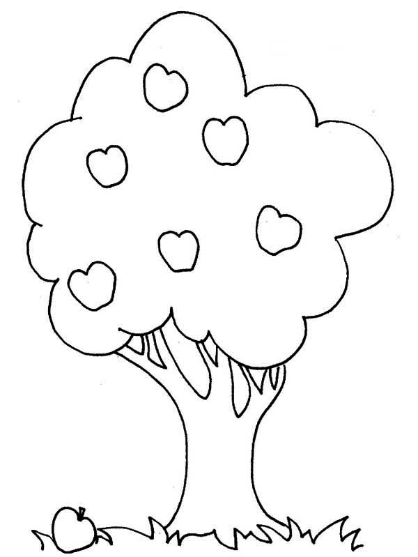 Malvorlage: Apfelbaum (Natur) #163811 - Kostenlose Malvorlagen zum Ausdrucken