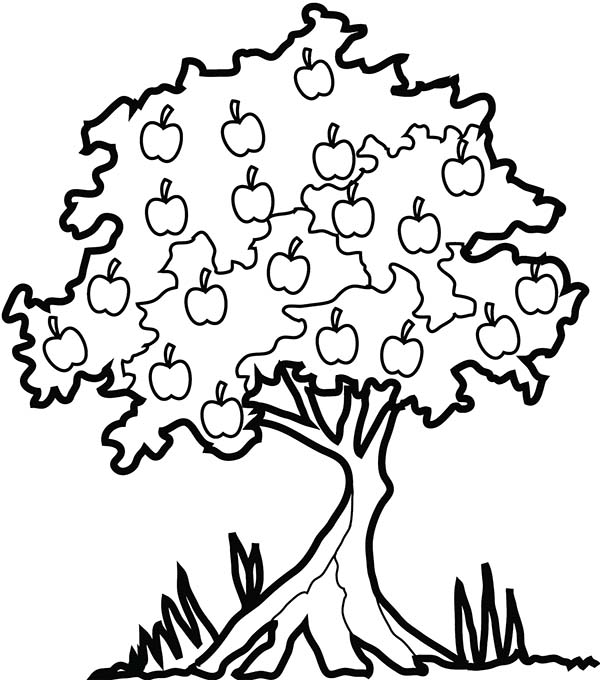 Malvorlage: Apfelbaum (Natur) #163846 - Kostenlose Malvorlagen zum Ausdrucken
