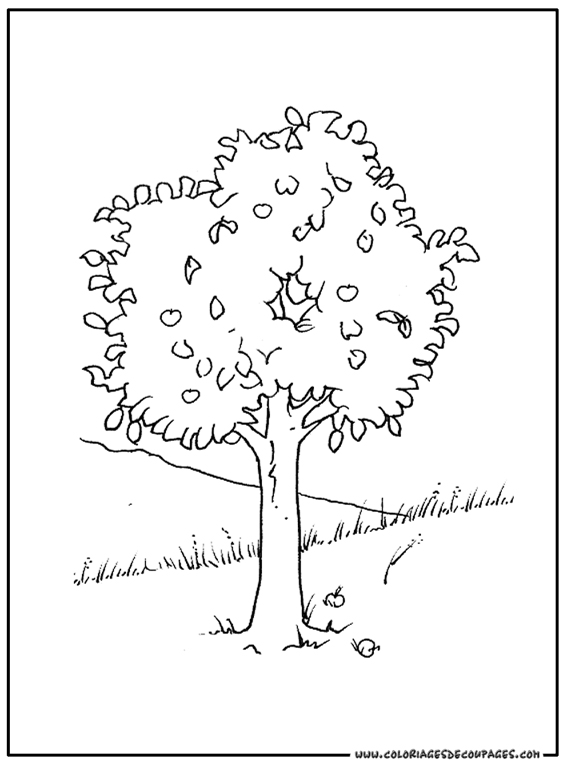 Malvorlage: BAUM (Natur) #154804 - Kostenlose Malvorlagen zum Ausdrucken