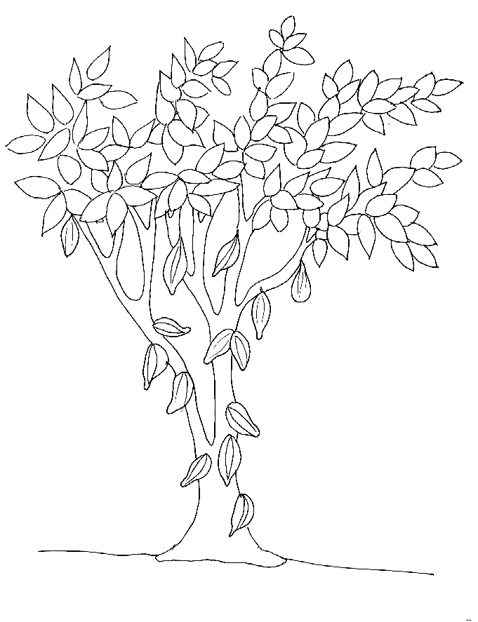 Malvorlage: BAUM (Natur) #154928 - Kostenlose Malvorlagen zum Ausdrucken