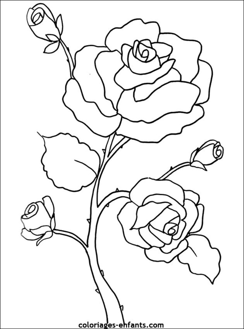 Malvorlage: Blumen (Natur) #154967 - Kostenlose Malvorlagen zum Ausdrucken