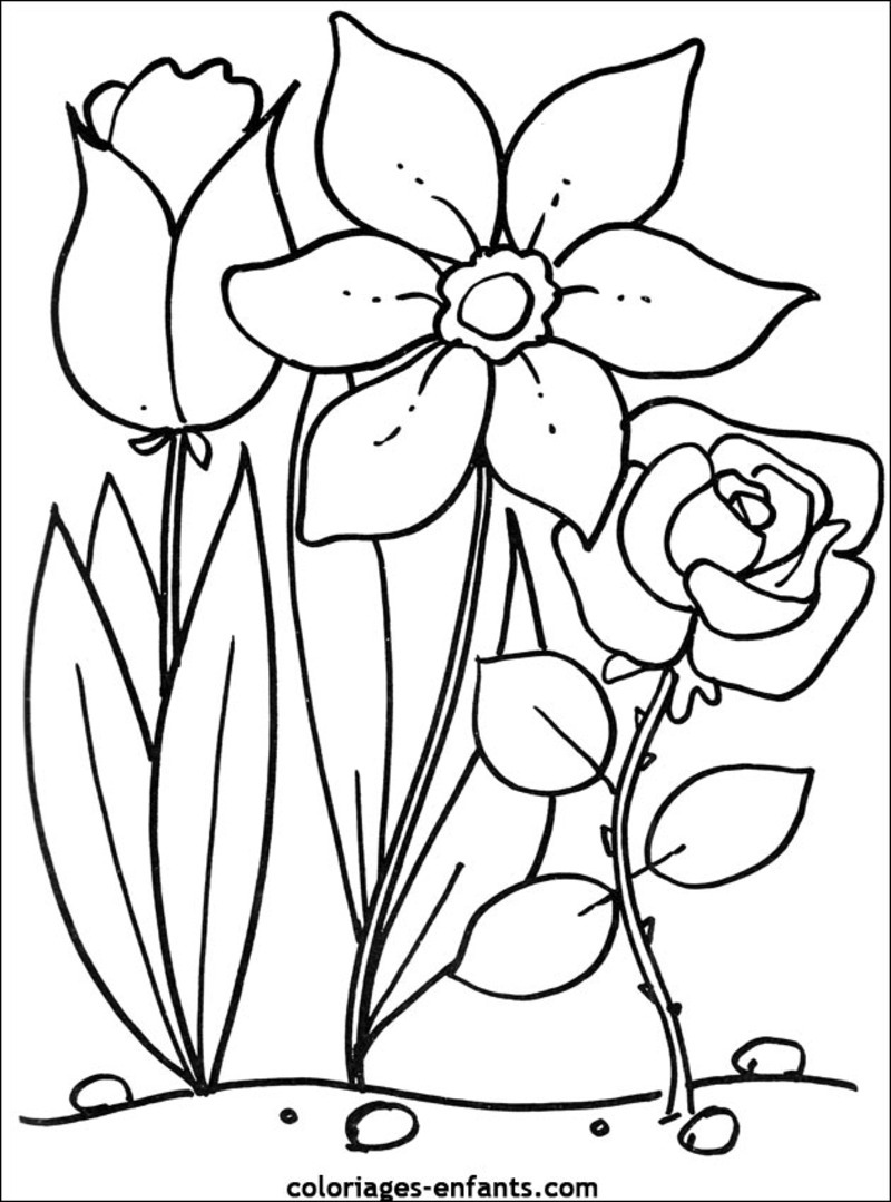 Malvorlage: Blumen (Natur) #154975 - Kostenlose Malvorlagen zum Ausdrucken