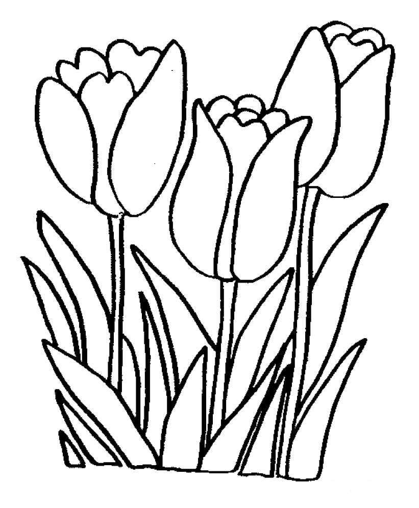 Malvorlage: Blumen (Natur) #154991 - Kostenlose Malvorlagen zum Ausdrucken