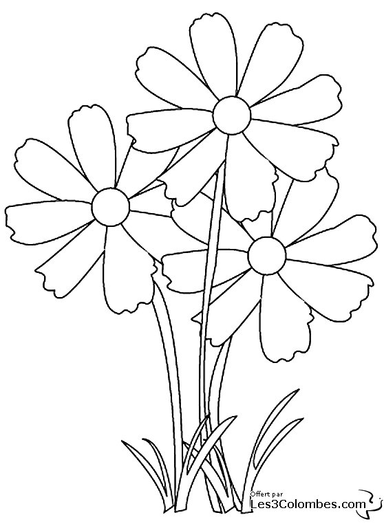 Malvorlage: Blumen (Natur) #155003 - Kostenlose Malvorlagen zum Ausdrucken