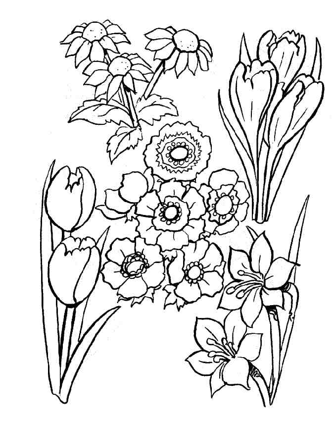 Malvorlage: Blumen (Natur) #155035 - Kostenlose Malvorlagen zum Ausdrucken