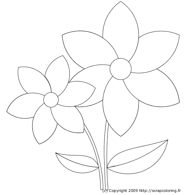 Malvorlage: Blumen (Natur) #155040 - Kostenlose Malvorlagen zum Ausdrucken