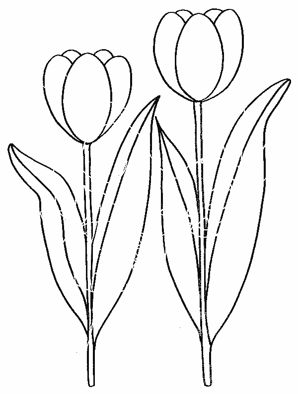 Malvorlage: Blumen (Natur) #155080 - Kostenlose Malvorlagen zum Ausdrucken