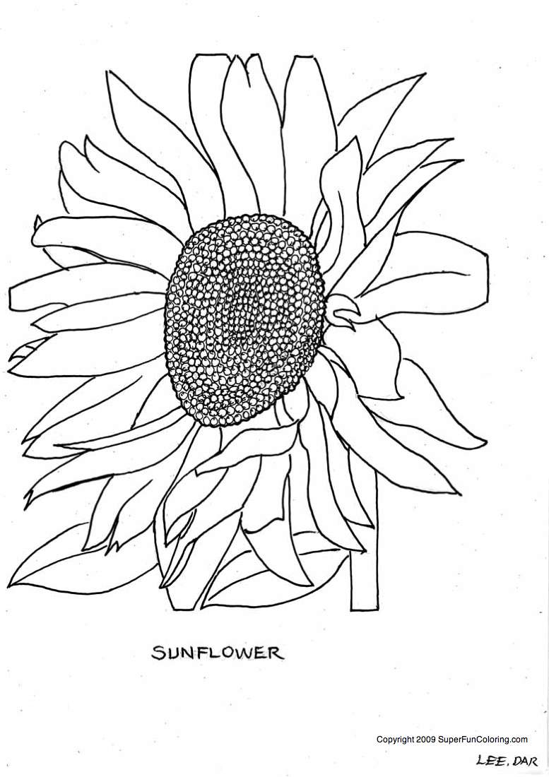 Malvorlage: Blumen (Natur) #155121 - Kostenlose Malvorlagen zum Ausdrucken