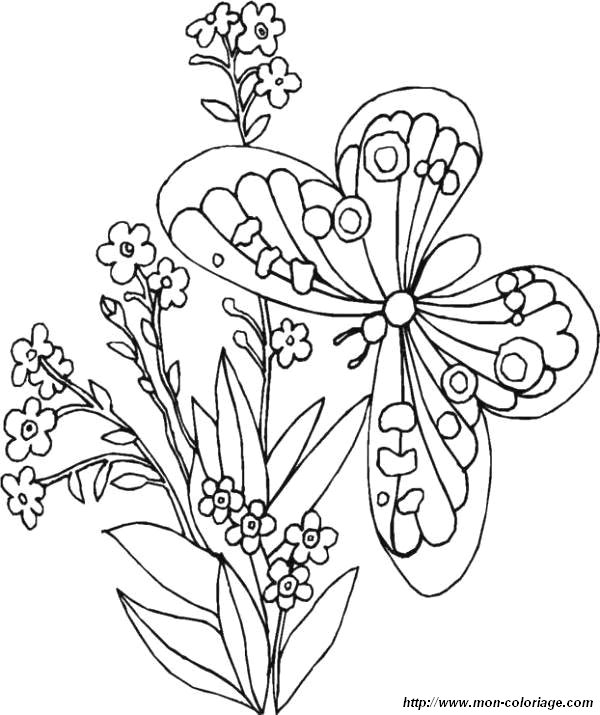 Malvorlage: Blumen (Natur) #155125 - Kostenlose Malvorlagen zum Ausdrucken