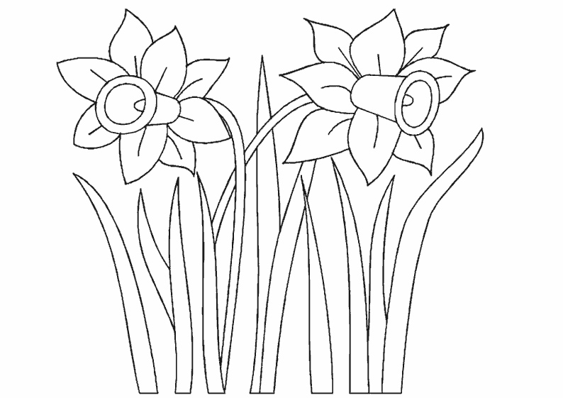 Malvorlage: Blumen (Natur) #155167 - Kostenlose Malvorlagen zum Ausdrucken