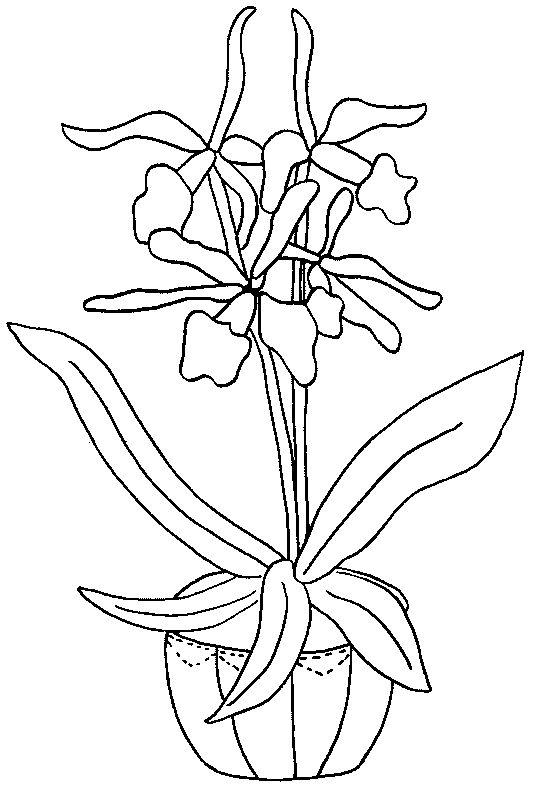 Malvorlage: Blumen (Natur) #155185 - Kostenlose Malvorlagen zum Ausdrucken