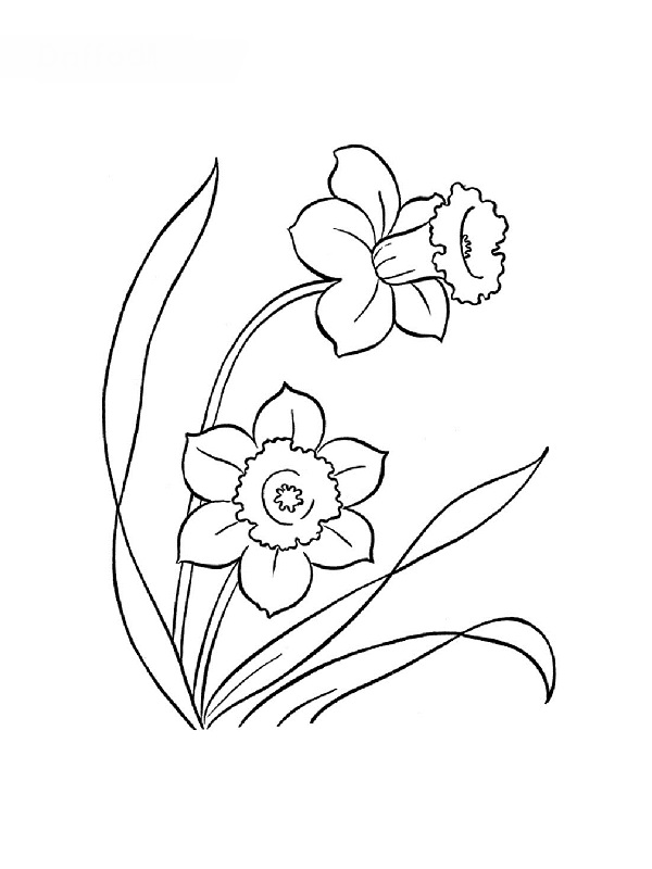 Malvorlage: Blumen (Natur) #155250 - Kostenlose Malvorlagen zum Ausdrucken