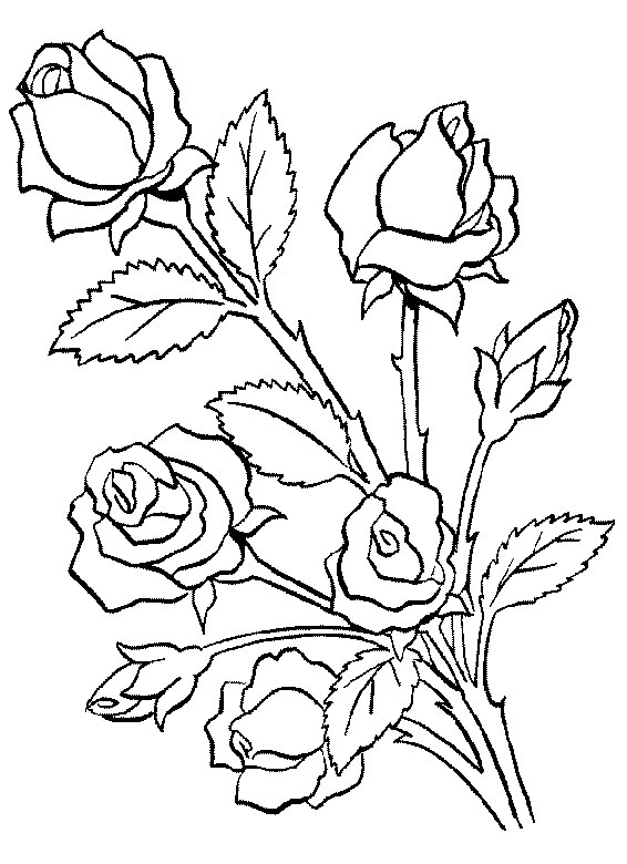 Malvorlage: Blumenstrauß (Natur) #160740 - Kostenlose Malvorlagen zum Ausdrucken