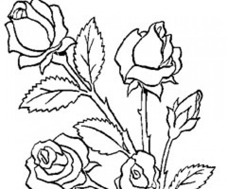 Malvorlage: Blumenstrauß (Natur) #160747 - Kostenlose Malvorlagen zum Ausdrucken