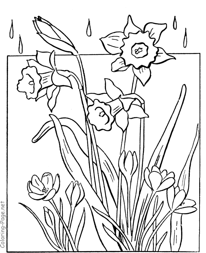 Malvorlage: Frühling (Natur) #164876 - Kostenlose Malvorlagen zum Ausdrucken