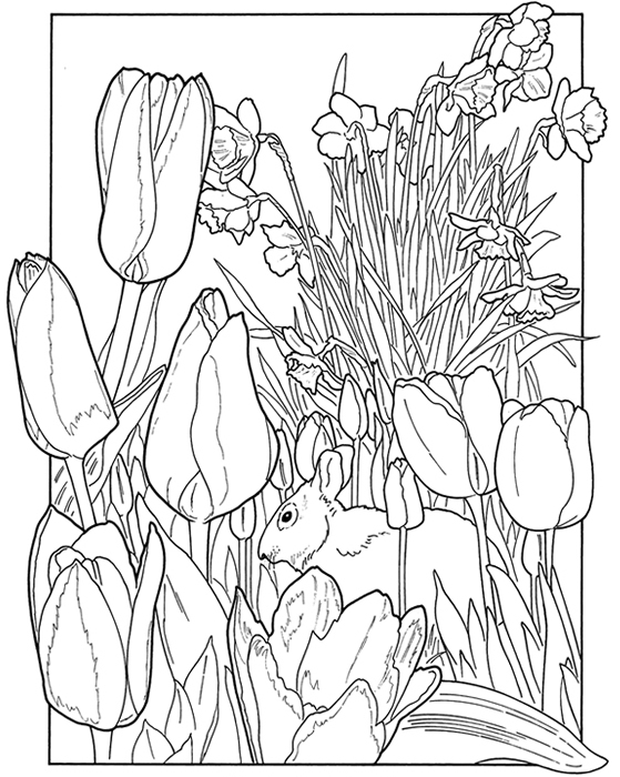 Malvorlage: Frühling (Natur) #165012 - Kostenlose Malvorlagen zum Ausdrucken