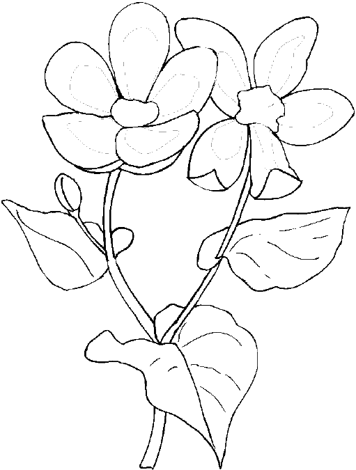 Malvorlage: Frühling (Natur) #165076 - Kostenlose Malvorlagen zum Ausdrucken