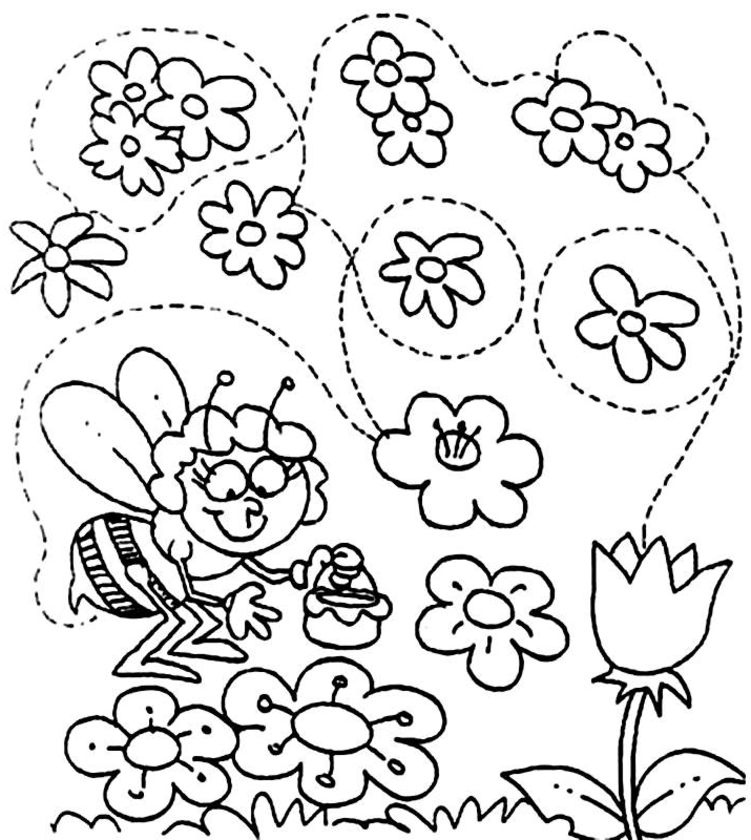 Malvorlage: Gänseblümchen (Natur) #161401 - Kostenlose Malvorlagen zum Ausdrucken