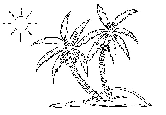 Malvorlage: Kokosnussbaum (Natur) #162123 - Kostenlose Malvorlagen zum Ausdrucken
