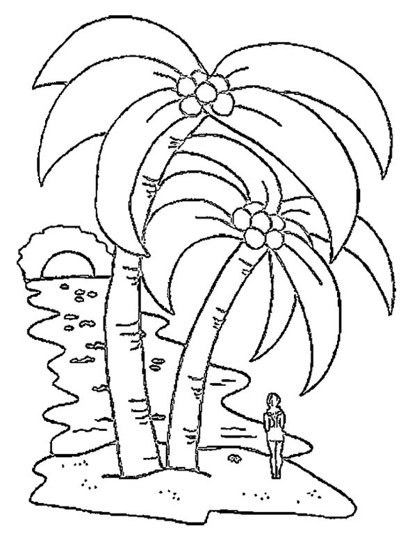 Malvorlage: Kokosnussbaum (Natur) #162367 - Kostenlose Malvorlagen zum Ausdrucken