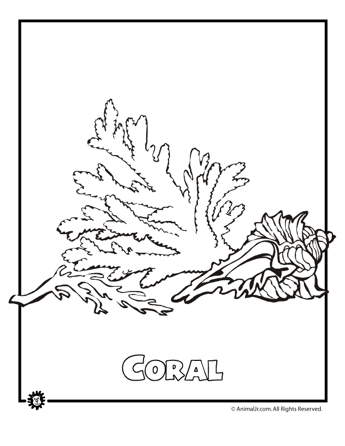 Malvorlage: Koralle (Natur) #162945 - Kostenlose Malvorlagen zum Ausdrucken