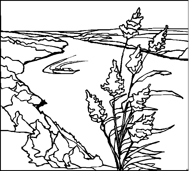 Malvorlage: Landschaft (Natur) #165849 - Kostenlose Malvorlagen zum Ausdrucken