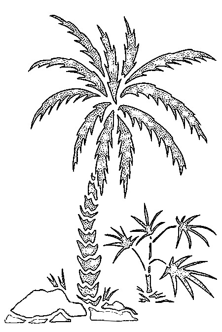 Malvorlage: Palme (Natur) #161123 - Kostenlose Malvorlagen zum Ausdrucken