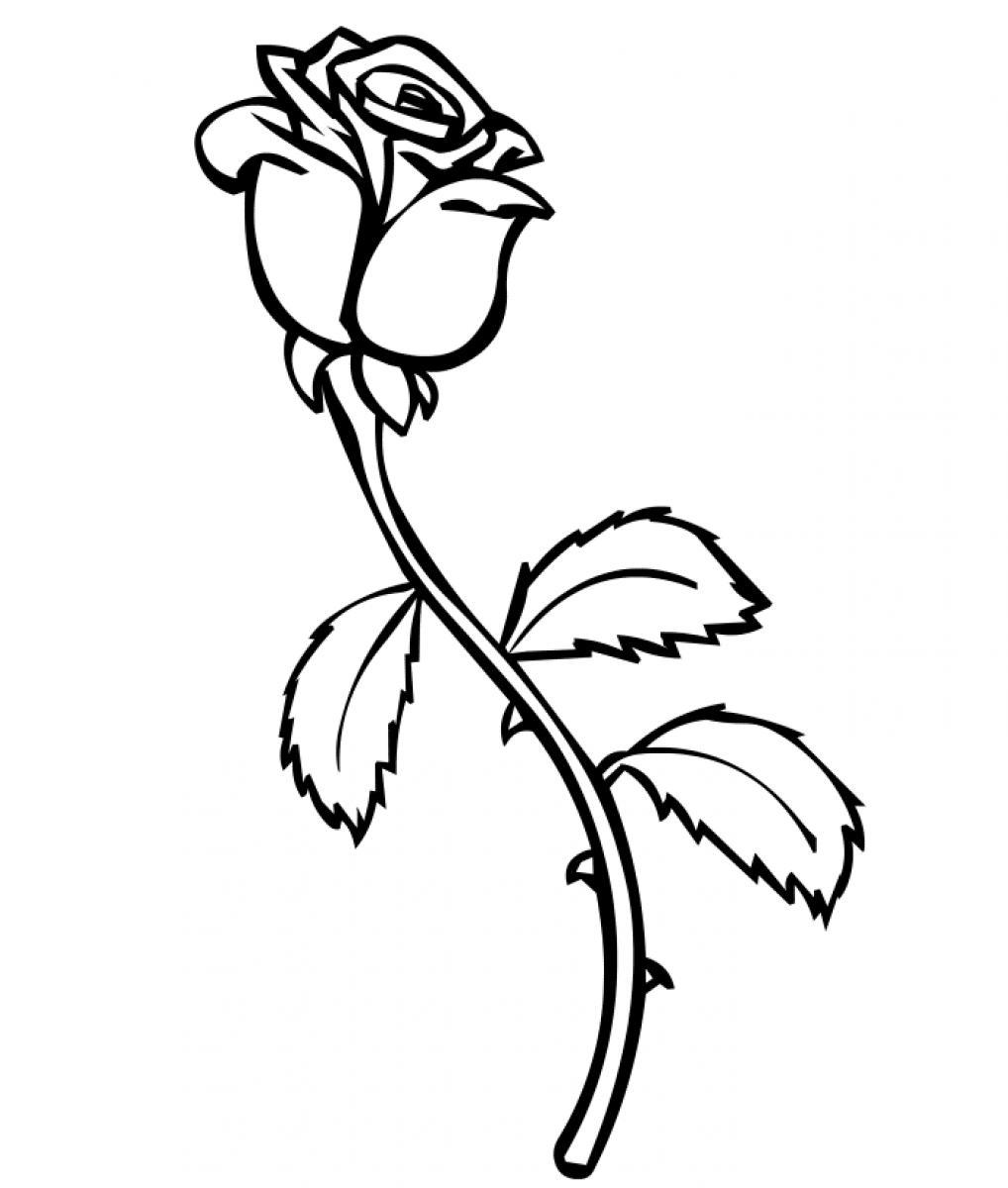Malvorlage: Rosen (Natur) #161873 - Kostenlose Malvorlagen zum Ausdrucken