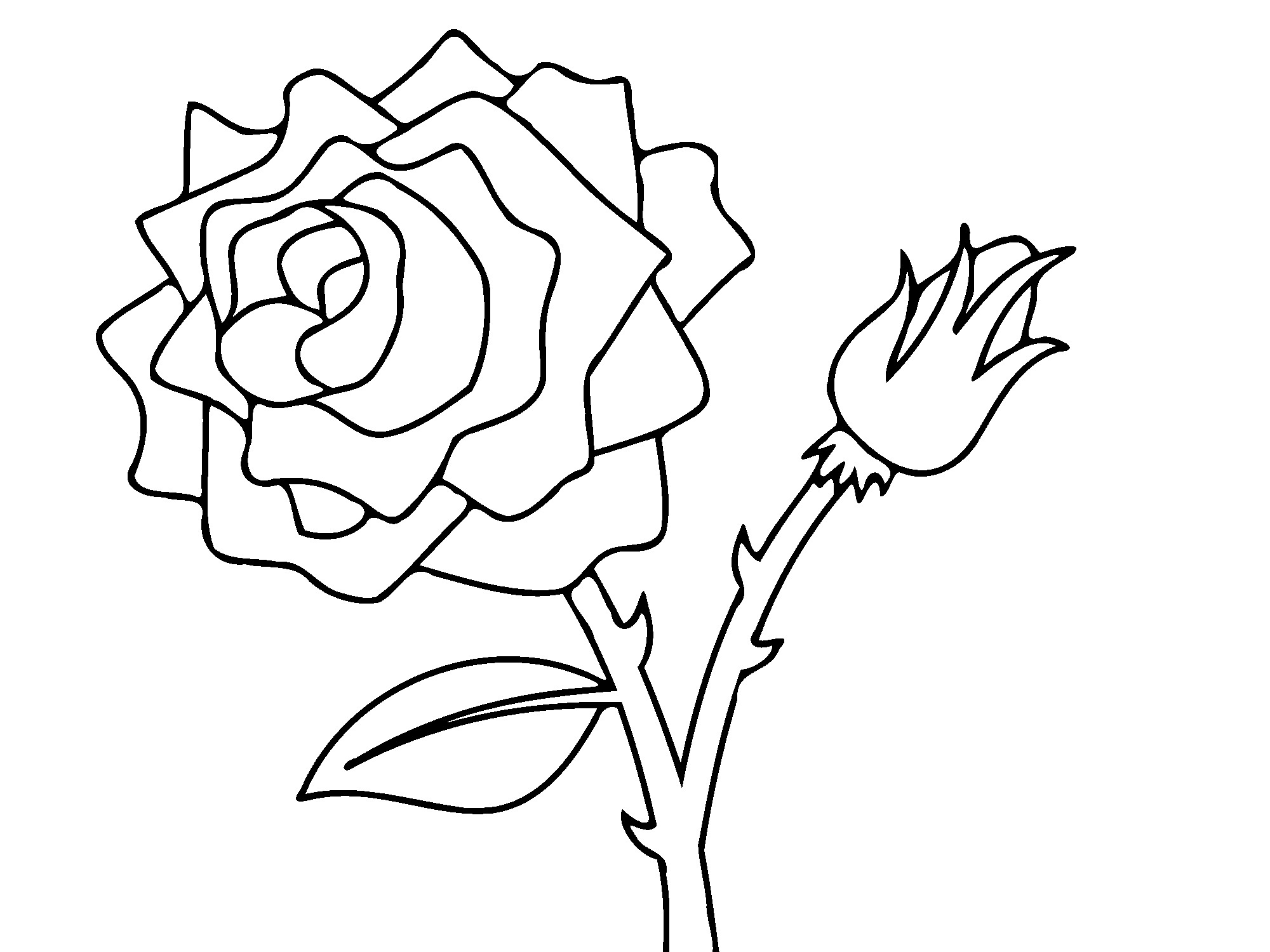 Malvorlage: Rosen (Natur) #161881 - Kostenlose Malvorlagen zum Ausdrucken