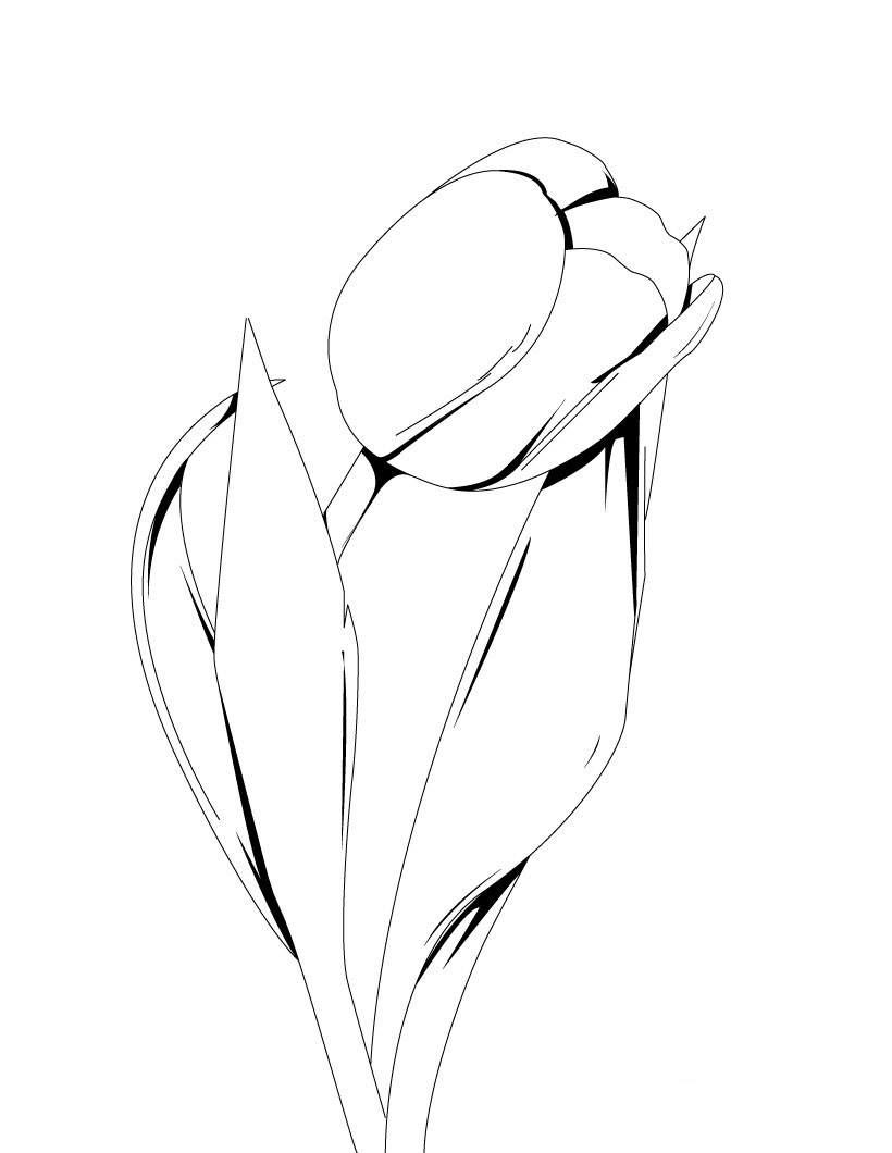 Malvorlage: Tulpe (Natur) #161615 - Kostenlose Malvorlagen zum Ausdrucken