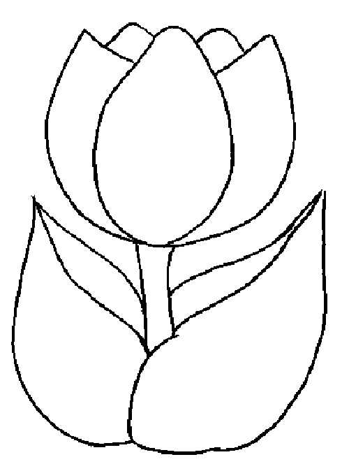 Malvorlage: Tulpe (Natur) #161621 - Kostenlose Malvorlagen zum Ausdrucken