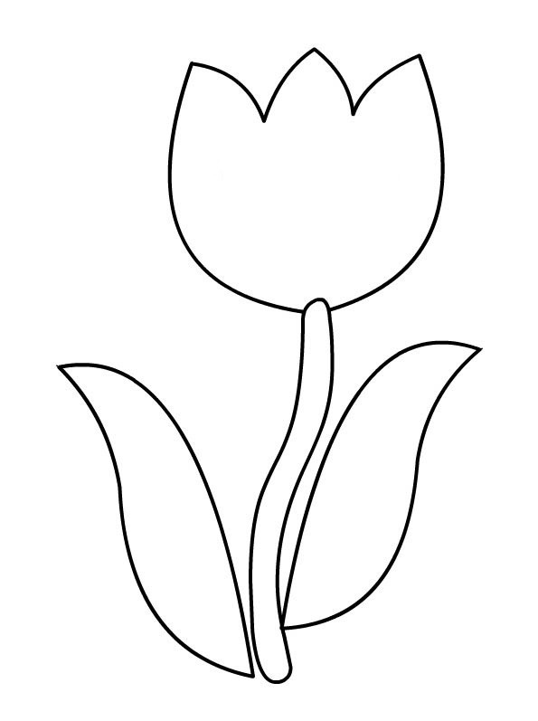 Malvorlage: Tulpe (Natur) #161625 - Kostenlose Malvorlagen zum Ausdrucken