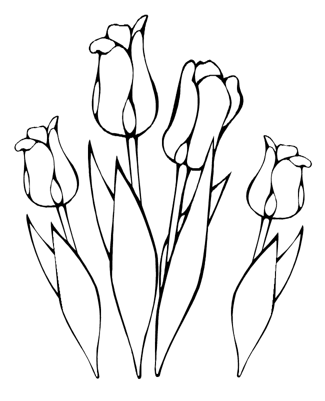Malvorlage: Tulpe (Natur) #161632 - Kostenlose Malvorlagen zum Ausdrucken