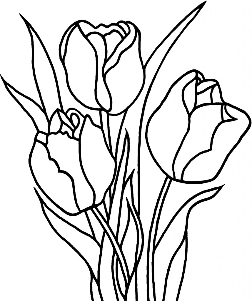 Malvorlage: Tulpe (Natur) #161634 - Kostenlose Malvorlagen zum Ausdrucken