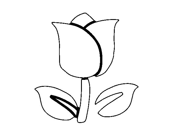 Malvorlage: Tulpe (Natur) #161638 - Kostenlose Malvorlagen zum Ausdrucken
