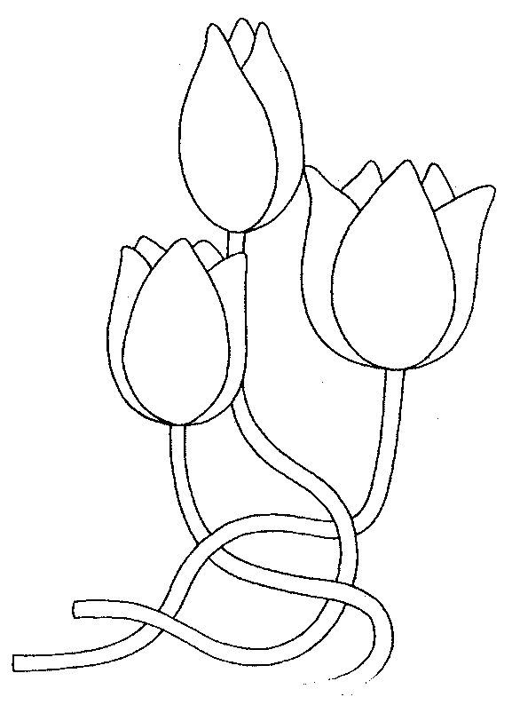 Malvorlage: Tulpe (Natur) #161639 - Kostenlose Malvorlagen zum Ausdrucken