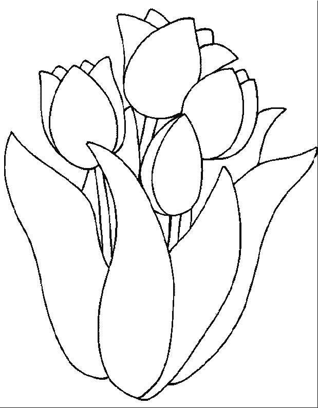 Malvorlage: Tulpe (Natur) #161642 - Kostenlose Malvorlagen zum Ausdrucken