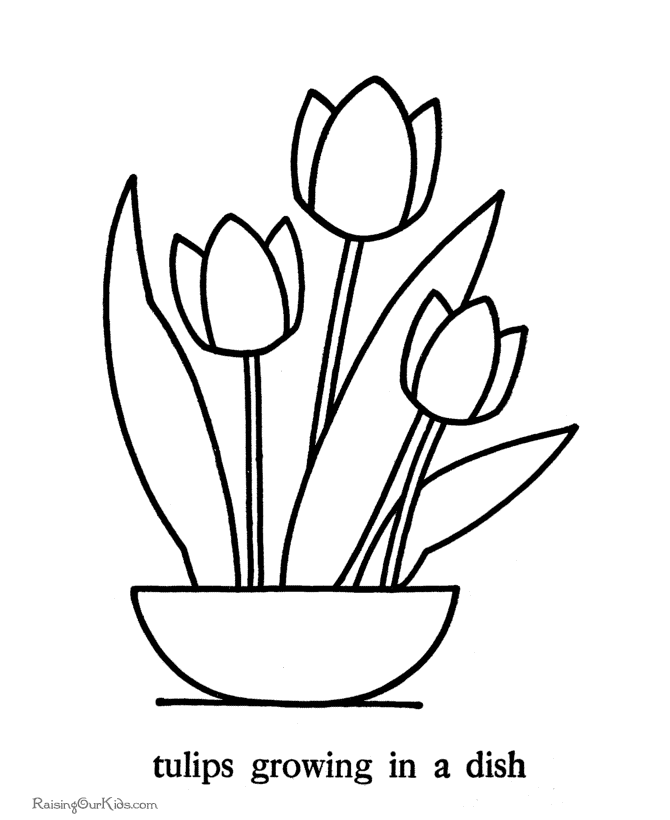 Malvorlage: Tulpe (Natur) #161646 - Kostenlose Malvorlagen zum Ausdrucken