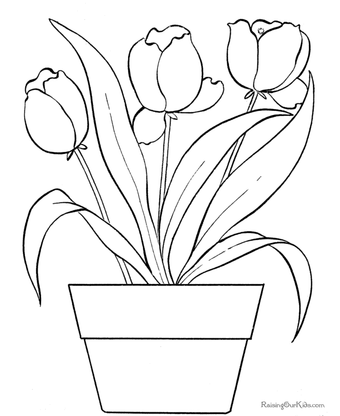 Malvorlage: Tulpe (Natur) #161661 - Kostenlose Malvorlagen zum Ausdrucken