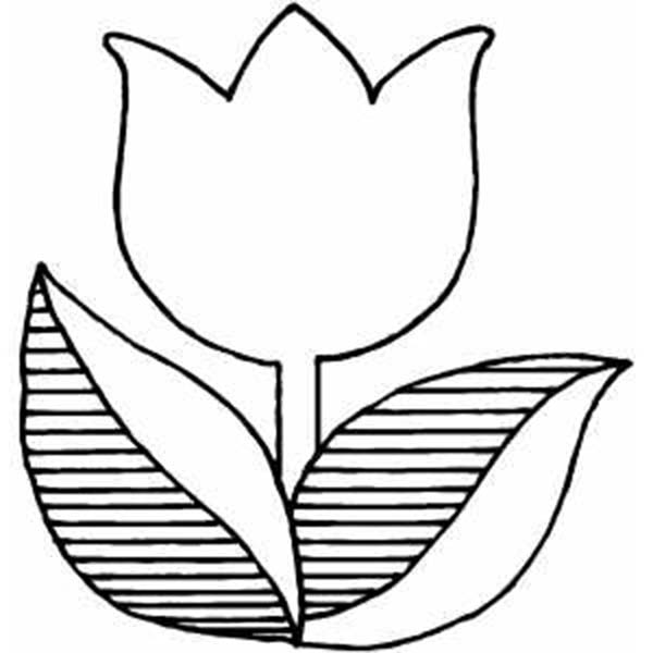 Malvorlage: Tulpe (Natur) #161662 - Kostenlose Malvorlagen zum Ausdrucken