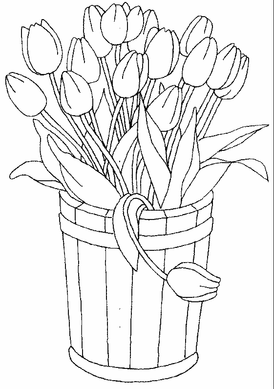 Malvorlage: Tulpe (Natur) #161666 - Kostenlose Malvorlagen zum Ausdrucken