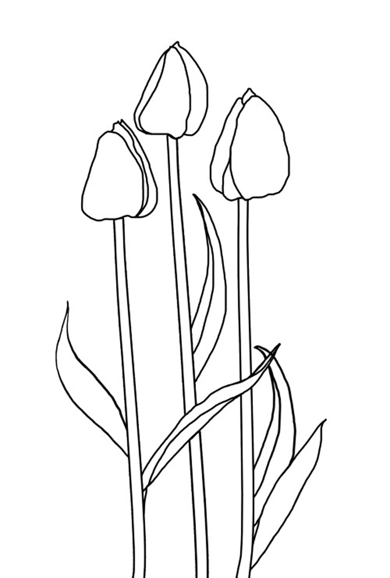 Malvorlage: Tulpe (Natur) #161667 - Kostenlose Malvorlagen zum Ausdrucken