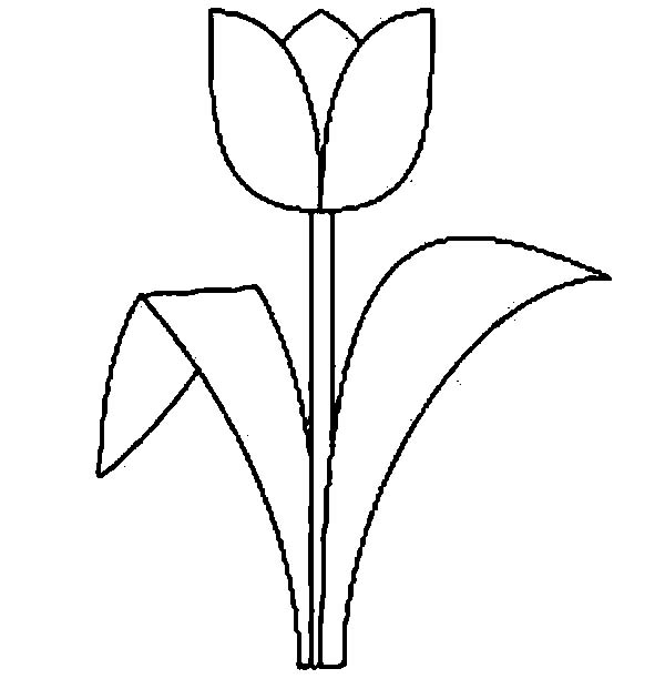 Malvorlage: Tulpe (Natur) #161668 - Kostenlose Malvorlagen zum Ausdrucken