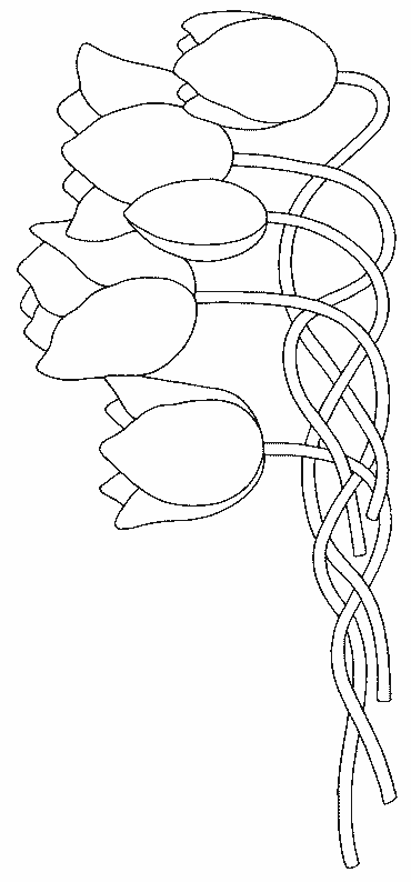 Malvorlage: Tulpe (Natur) #161670 - Kostenlose Malvorlagen zum Ausdrucken