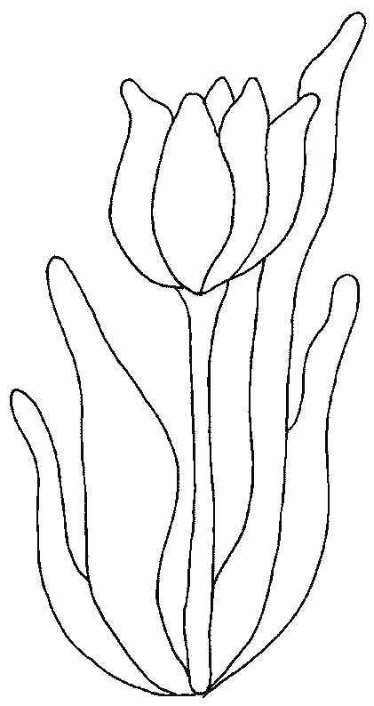 Malvorlage: Tulpe (Natur) #161677 - Kostenlose Malvorlagen zum Ausdrucken