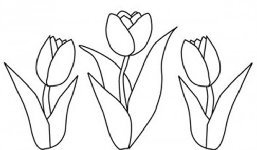 Malvorlage: Tulpe (Natur) #161684 - Kostenlose Malvorlagen zum Ausdrucken